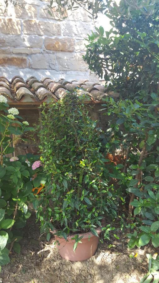 Istrian Stone House Villa Sečovlje Kültér fotó