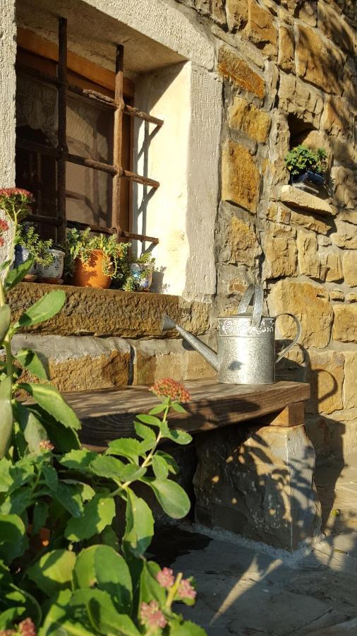Istrian Stone House Villa Sečovlje Kültér fotó