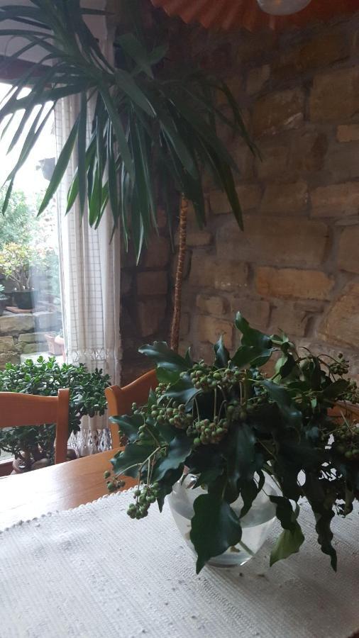 Istrian Stone House Villa Sečovlje Kültér fotó
